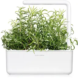 Змінний картридж Click & Grow Smart Garden Розмарин, 3 капсули (8936) - мініатюра 5