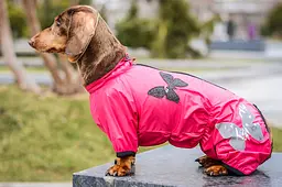 Комбінезон Smart Pet Метелик