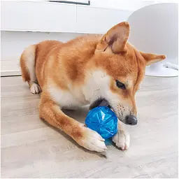 М'ячик для собак, що світиться Diamond Shape Elastic Squeaky Dog Ball з пищалкою - мініатюра 6