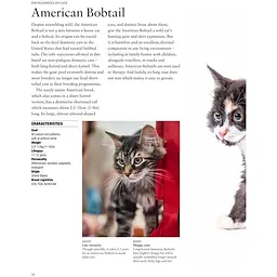 Encyclopedia of Cats - Фотопулос Джуліанна - мініатюра 3