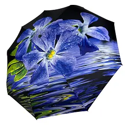 Жіноча парасолька автомат Rain acs0027871 - мініатюра 7