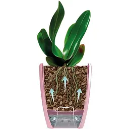 Вазон Santino Orchidea Twin 1.3 л білий (2008701) - мініатюра 2