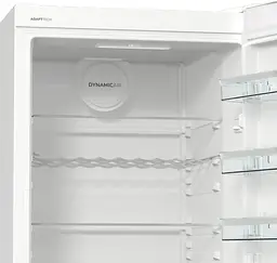 Холодильна камера Gorenje R619EAW6 - мініатюра 12