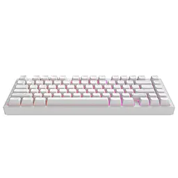 Клавіатура Dark Project ALU81 Terra Nostra PBT RGB Mech G3MS Moonstone White (DPKB_NOSTRA_81_ANSI_WHITE_UA) - мініатюра 6