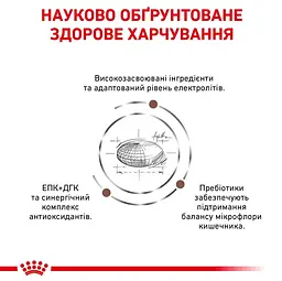 Сухий корм для собак Royal Canin Gastro Intestinal 2 кг 39110201 - мініатюра 4