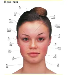 Japanese-English Bilingual Visual Dictionary - мініатюра 5
