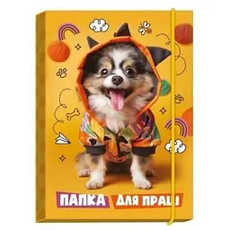 Папка для праці Рюкзачок ПП-1 Різнокольоровий (2000990615817)(SC)