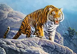 Пазл Castorland Тигр на камені 500 ел. (B-53346) - мініатюра 2