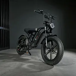 Електровелосипед Volto Vortex 22" фетбайк 1000W 48V 19Ah PAS система чорний - мініатюра 5