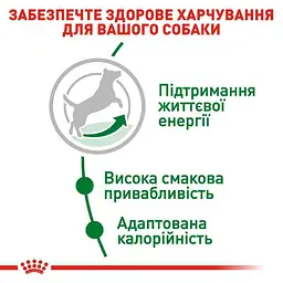 Сухий корм для собак віком від 8 до 12 років Royal Canin Mini Adult 8+, 2 кг (30020209) - мініатюра 5