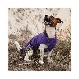 Жилет Pet Fashion E.Vest для собак, розмір M, фіолетовий - мініатюра 4