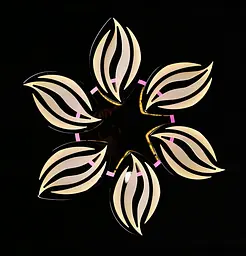Люстра стельова LED Splendid Ray LK23/6, 160W, чорний/білий, димер, сучасний стиль - мініатюра 7