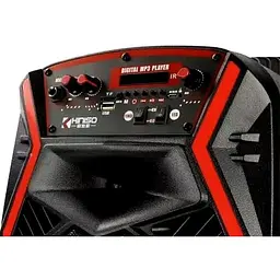 Акустична система XPRO 895 з мікрофоном (MER-15704_2772) - мініатюра 9