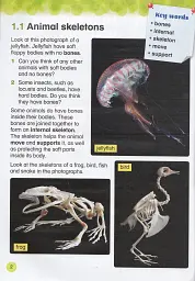 Collins International Primary Science 4 Student's Book - Карен Моррісон - мініатюра 3