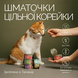 Вологий корм Savory Tuna Fillets rich in Mackerel in Jelly for Adult Cats філе тунця з макрелью в желе для дорослих котів, 70 г - мініатюра 4