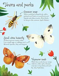 Bugs to Spot. Usborne Minis - мініатюра 6
