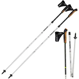 Палиці для скандинавської ходьби Gabel Nordic Revo Alu Carbon