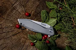 Ніж складаний туристичний Ruike P135-SF, (9.2 см) 14C28N / steel 420 сірий - мініатюра 18