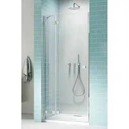 Душові двері Radaway Essenza Pro DWJ 120 см 10099120-01-01L