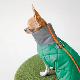 Жилет Pet Fashion Luka для собак, розмір 2ХL, зелений - мініатюра 6