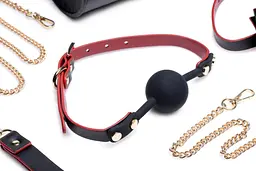 Набір для BDSM Master Series Bow - Luxury BDSM Set With Travel Bag - мініатюра 3