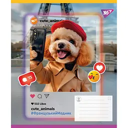 Набір зошитів Yes Cute animals А5 18 аркушів у лінію 25 шт. (767728) - мініатюра 2