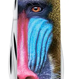 Ніж Victorinox Tinker Animal 91мм 12функ Мавпа Мандрил - мініатюра 7