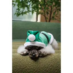 Попона для собак Pet Fashion Santa XS зелена - мініатюра 6