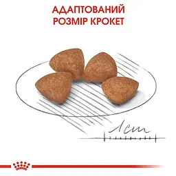 Сухий корм для цуценят дуже мініатюрних порід Royal Canin X-Small Puppy, 3 кг (10020301) - мініатюра 3