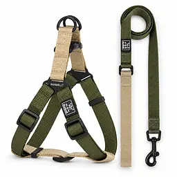Шлея для собак Nunbell Y-Shape з повідцем, регульована та світловідбивна L, Зелений