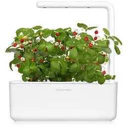 Змінний картридж Click & Grow Smart Garden Суниця, 3 капсули (7410) - мініатюра 4