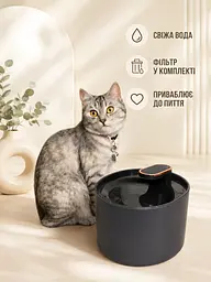 Автоматична поїлка для тварин 3 л фонтан USB з фільтром чорний (49676060) - мініатюра 2