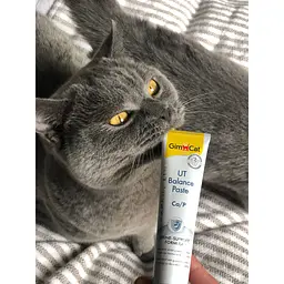 Паста GimCat Expert Line UT Balance для котів 50 г - мініатюра 5