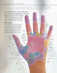 Reflexology - мініатюра 4