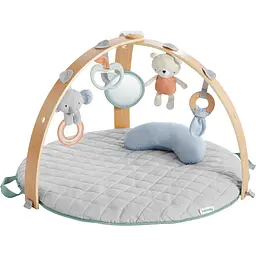 Розвиваючий килимок Ingenuity Cozy Spot (12126) - мініатюра 2