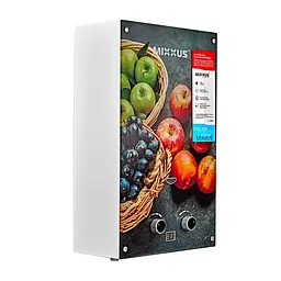 Газова колонка Mixxus GWH-0310 Basic Glass димохідна 10 л/хв (панель зі скла з малюнком) WH0024