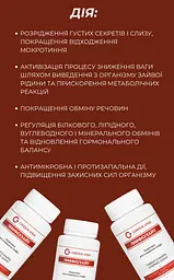 Лимфолайт 90 капсул Грін-Віза - мініатюра 6