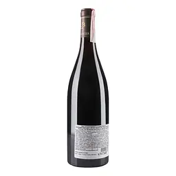 Вино Domaine Rene Bouvier Gevrey-Chambertin Racine du Temps Tres Vieilles Vignes 2017 АОС/AOP, 13%, 0,75 л (804555) - мініатюра 2