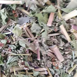 100 г гречка посівна трава сушена - свіжий урожай