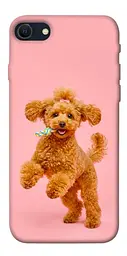 TPU чохол Demsky Happy poodle для Apple iPhone SE (2020)
