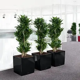 Вазон Lechuza Cube Premium, 31 л, антрацитовий (16363) - мініатюра 7