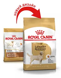 Сухий корм для дорослих собак Royal Canin Labrador Retriever Adult, з м'ясом птиці і рисом, 12 кг - мініатюра 2