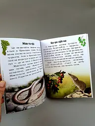 Читаю про Україну. Тварини гір С366021У - мініатюра 2