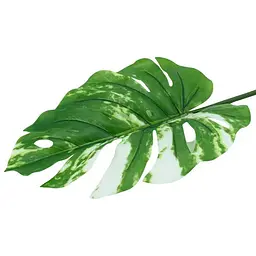Штучне листя Engard Monstera Alba 73 см (TW-54) - мініатюра 2