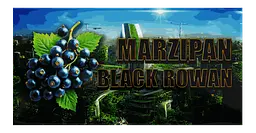 Марципан Lorizio з чорноплідною горобиною "Black rowan" 