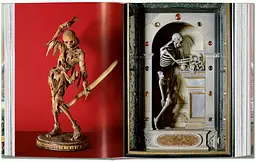 Cabinet of Curiosities - мініатюра 3