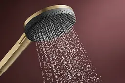 Ручний душ Hansgrohe Raindance Alive Select S EcoSmart brushed bronze 24511140 - мініатюра 5