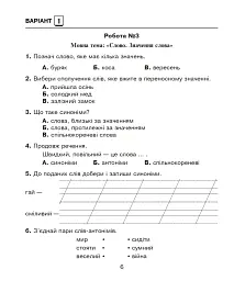 Українська мова. 2 клас. Діагностичні роботи. До підручника М. С. Вашуленка - Наталя Будна - мініатюра 6