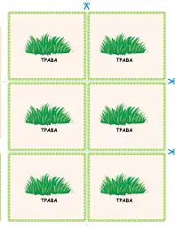STEM-Старт. Зошит для учня. Наука про життя. 3 клас - Ірина Потапенко - мініатюра 15