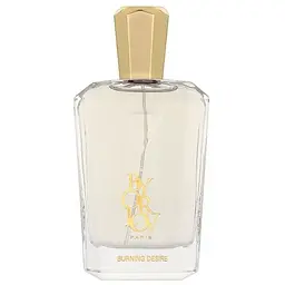 Парфумована вода Orlov Paris Burning Desire 75 мл тестер
